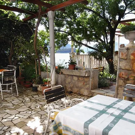 Trstenik 4566a *