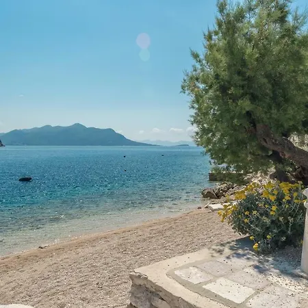 Trstenik 4566a Daire